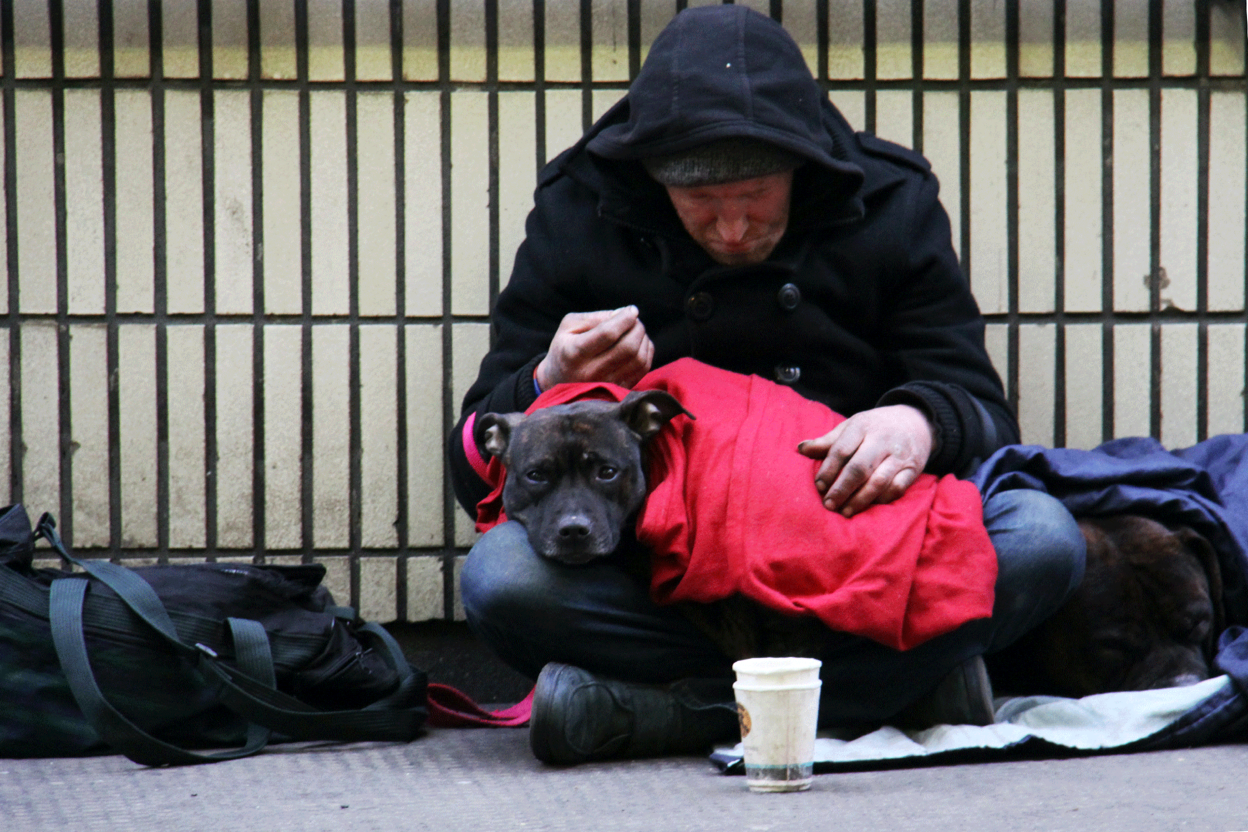 Homeless con cane
